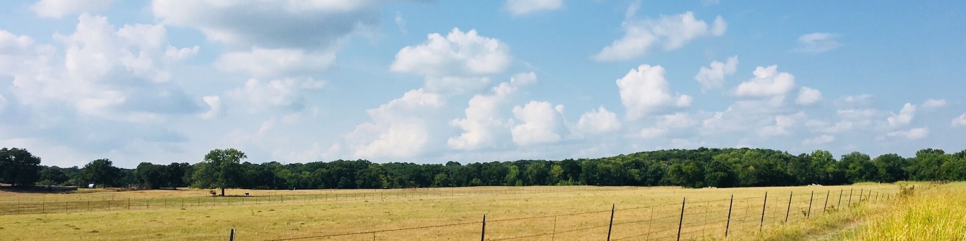This is the equestrian Trail, great for biking. It Parallels a gravel road trail to make a 8-9 mile loop.