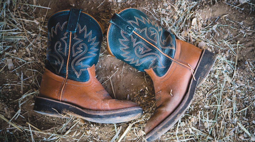 Denton featuring fashion and farmland