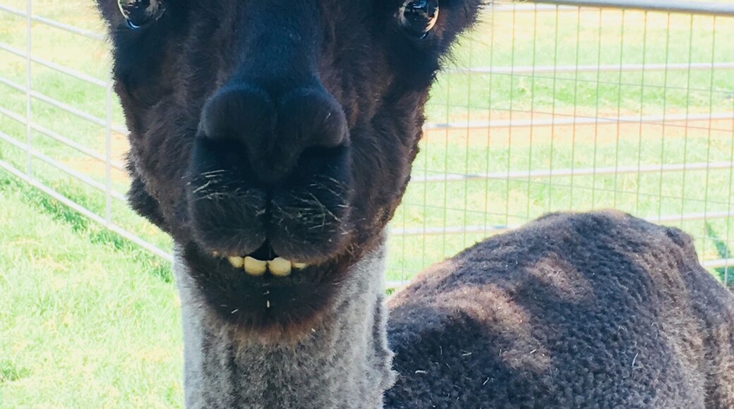 Offers private tours scheduled online. Great products online as well.