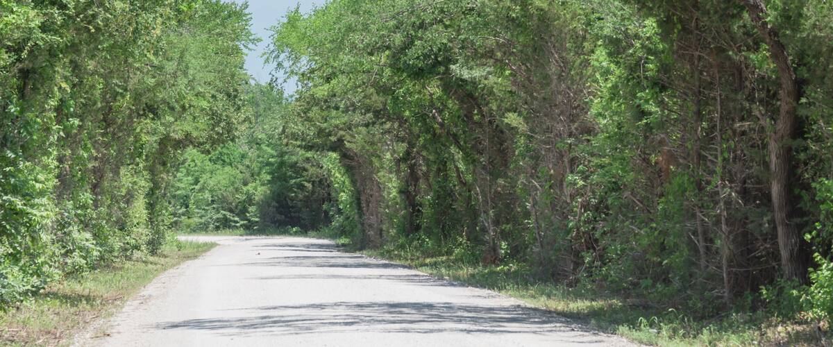 A rural road flanked by dense green foliage.
