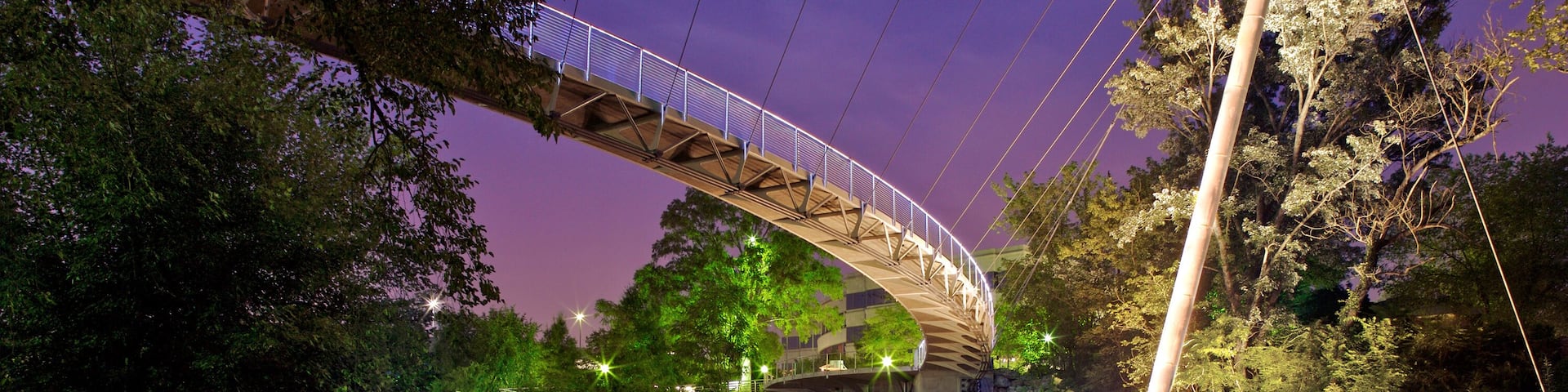 A nighttime suspension bridge over a river, surrounded by trees and rocks.