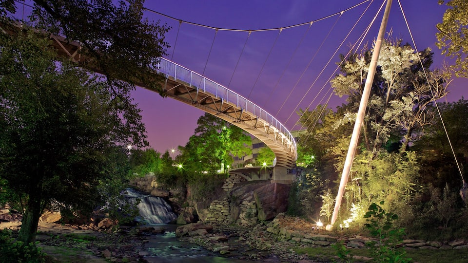 A nighttime suspension bridge over a river, surrounded by trees and rocks.