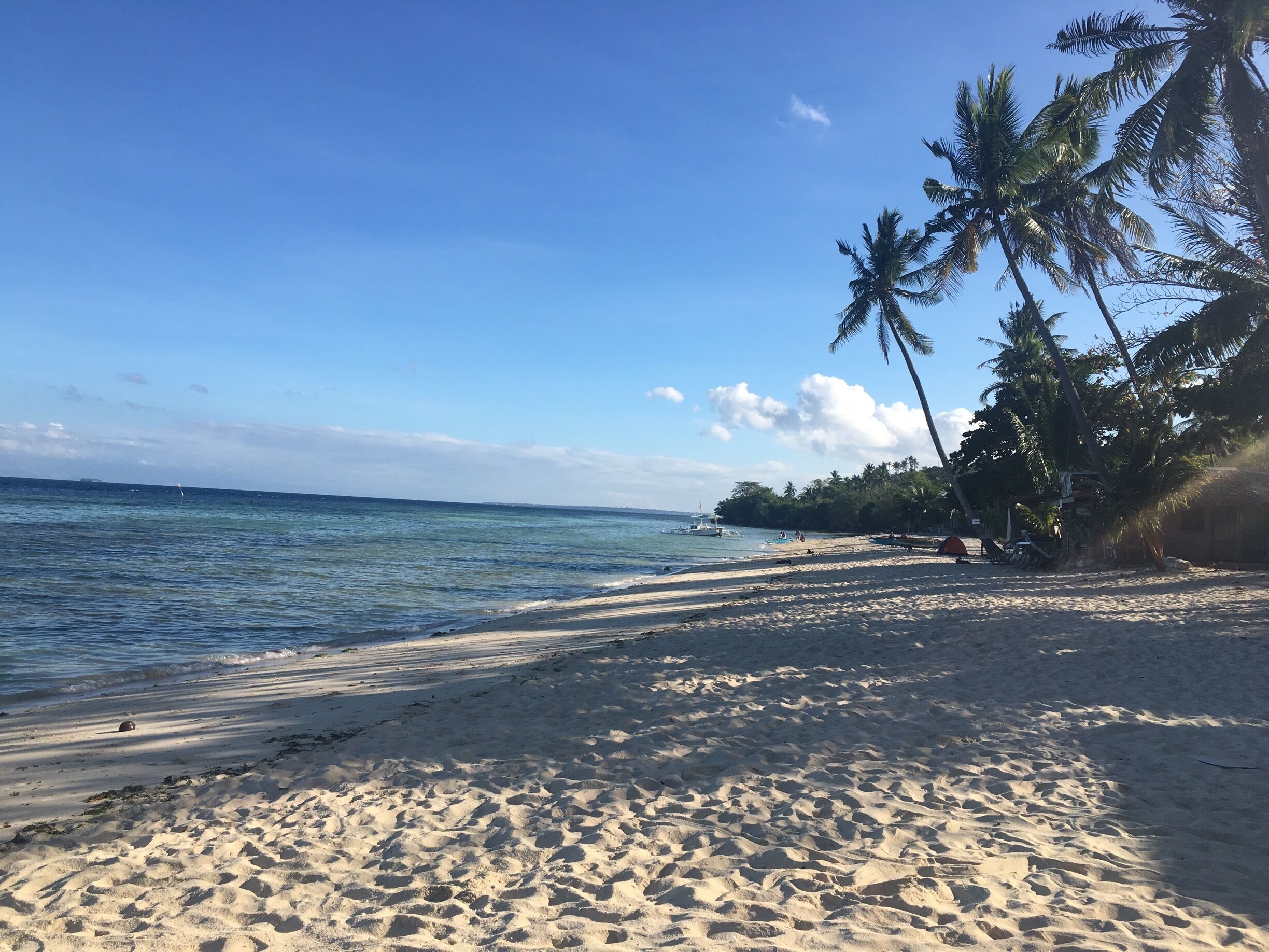A beach with clear blue water, sandy shore, palm trees, and a boat in the distance.