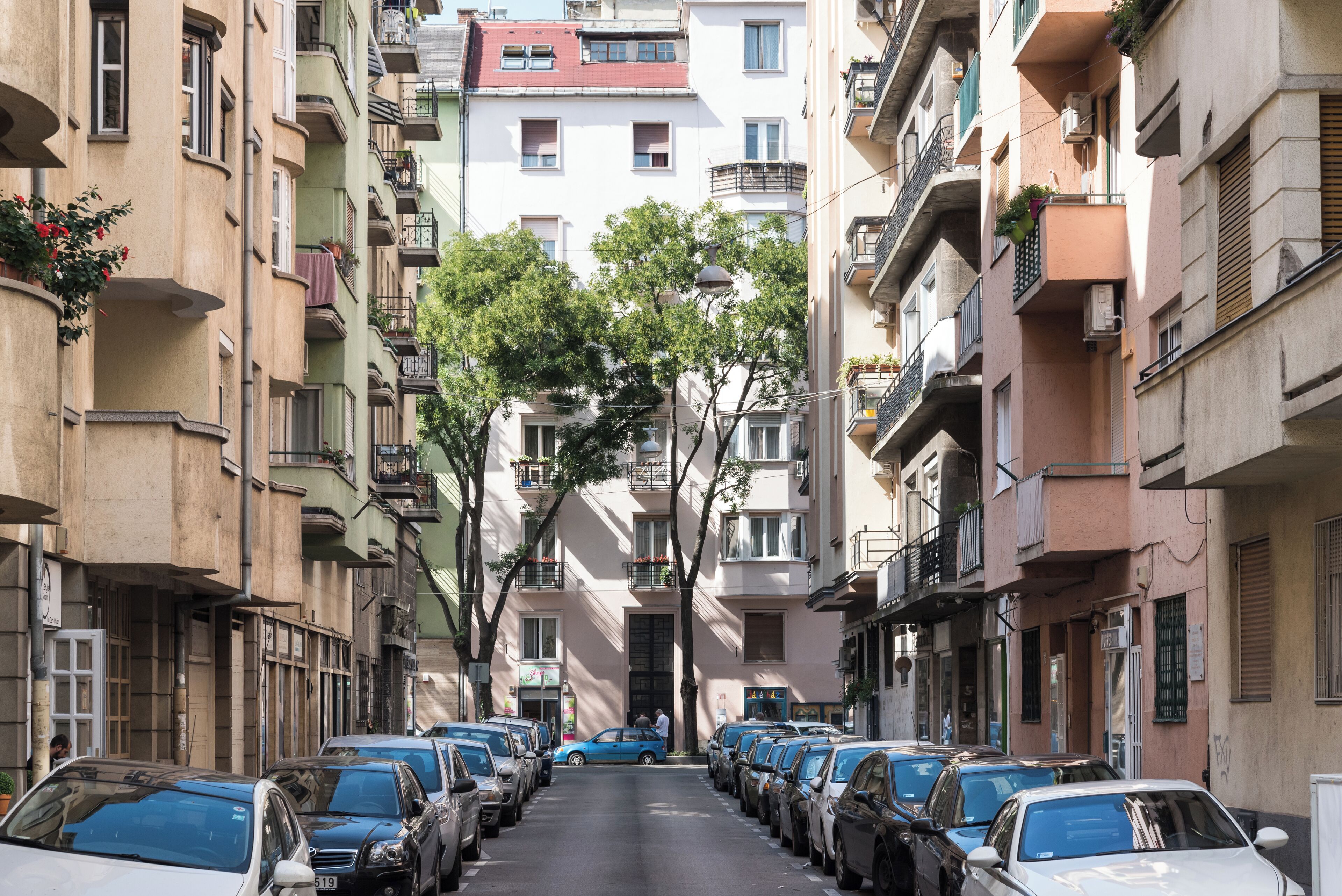 أوجليبوتفاروس