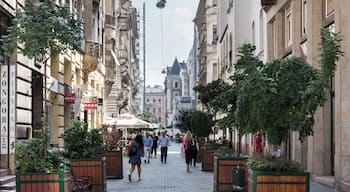 Budapest_Terezvaros_6058904_03