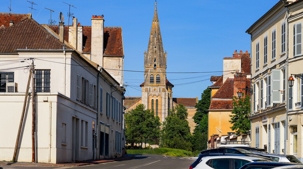 Church of Saint Denys and Saint Foy in Coulommiers, a small town of the French department of Seine et Marne in Paris region. It uses millstone and has both a Briard and a Byzantine architectural style