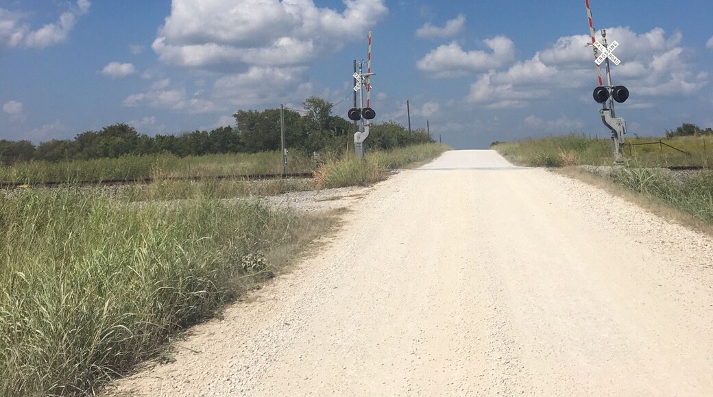 Nice trails, dirt roads and lots of birds if you know the right times to visit