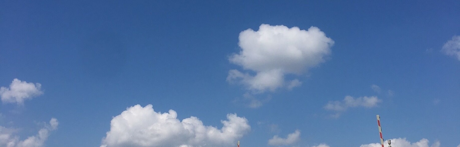 Nice trails, dirt roads and lots of birds if you know the right times to visit