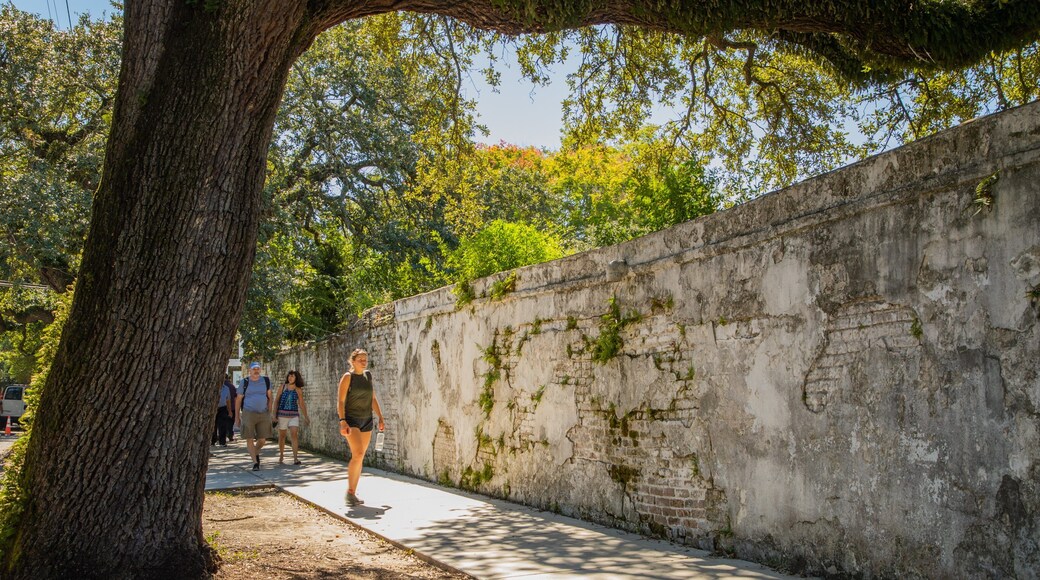 Garden District showing street scenes