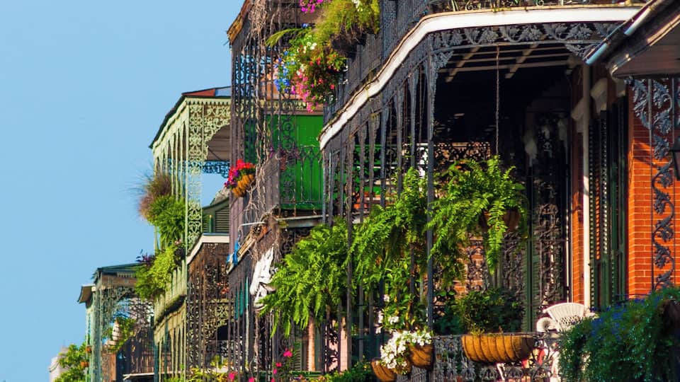 Buildings in New Orleans’ French Quarter with ornate lush garden terraces.