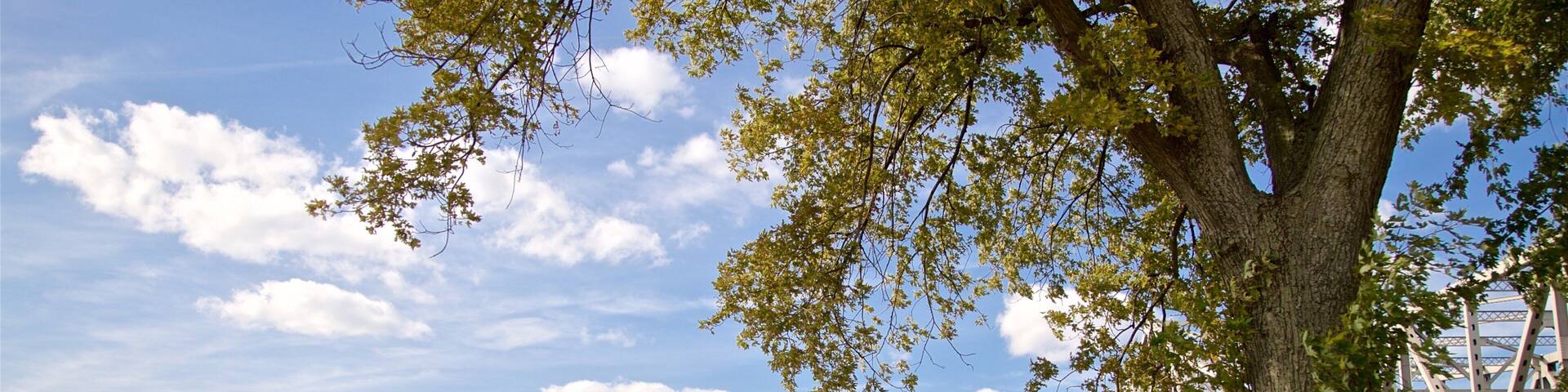 Western Illinois featuring a bridge and a river or creek