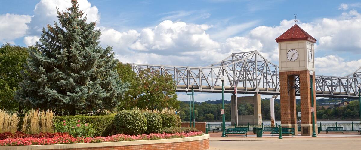 Oeste de Illinois mostrando un parque, un puente y flores silvestres