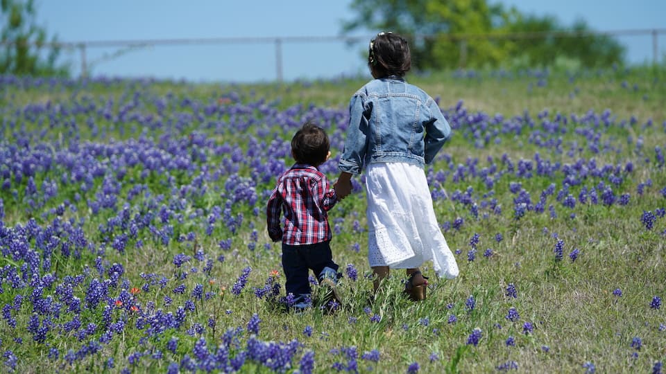 Two people walking through a field of purple flowers.