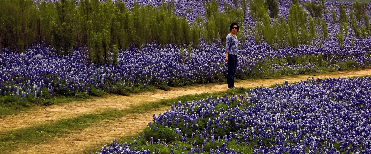 On the Bluebonnet Road deep in the Heart of Texas. Bluebonnets galore surround my wife.