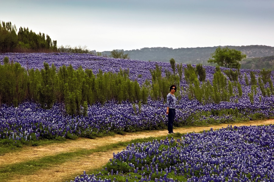 On the Bluebonnet Road deep in the Heart of Texas. Bluebonnets galore surround my wife.