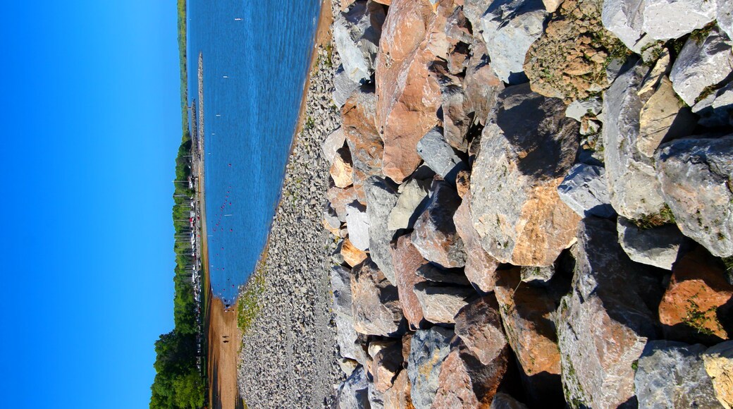 Beach Landscape Carlyle Lake Illinois