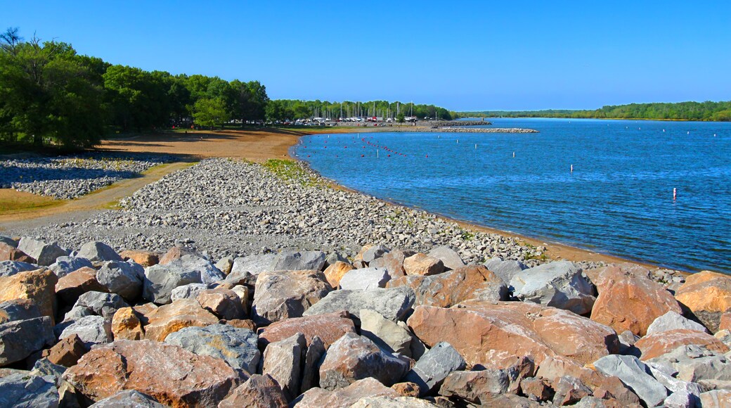 Carlyle Lake Swimming Beach Illinois