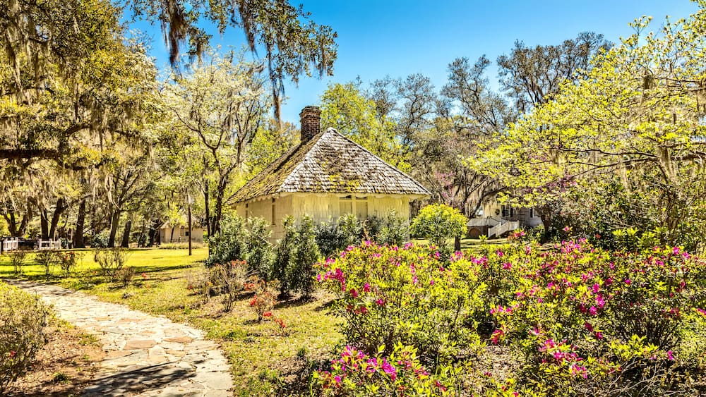 Southern landscape, South Carolina