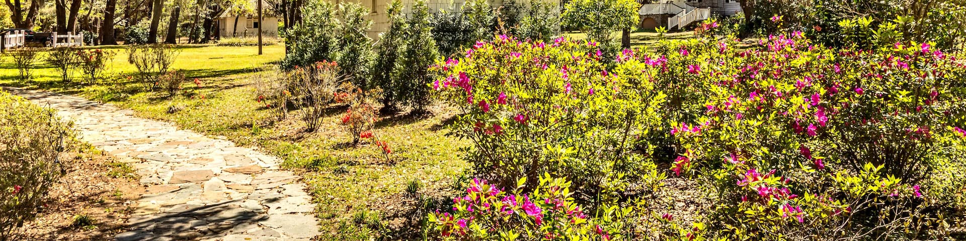 Southern landscape, South Carolina