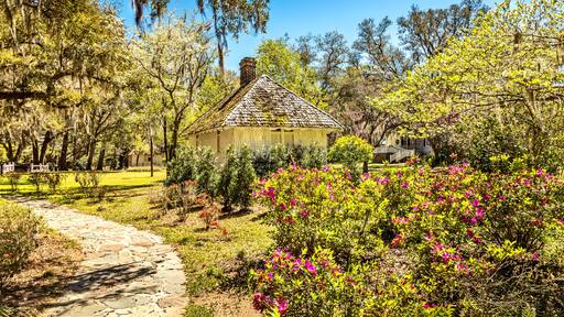 Southern landscape, South Carolina