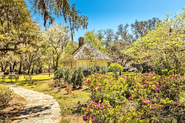 Southern landscape, South Carolina
