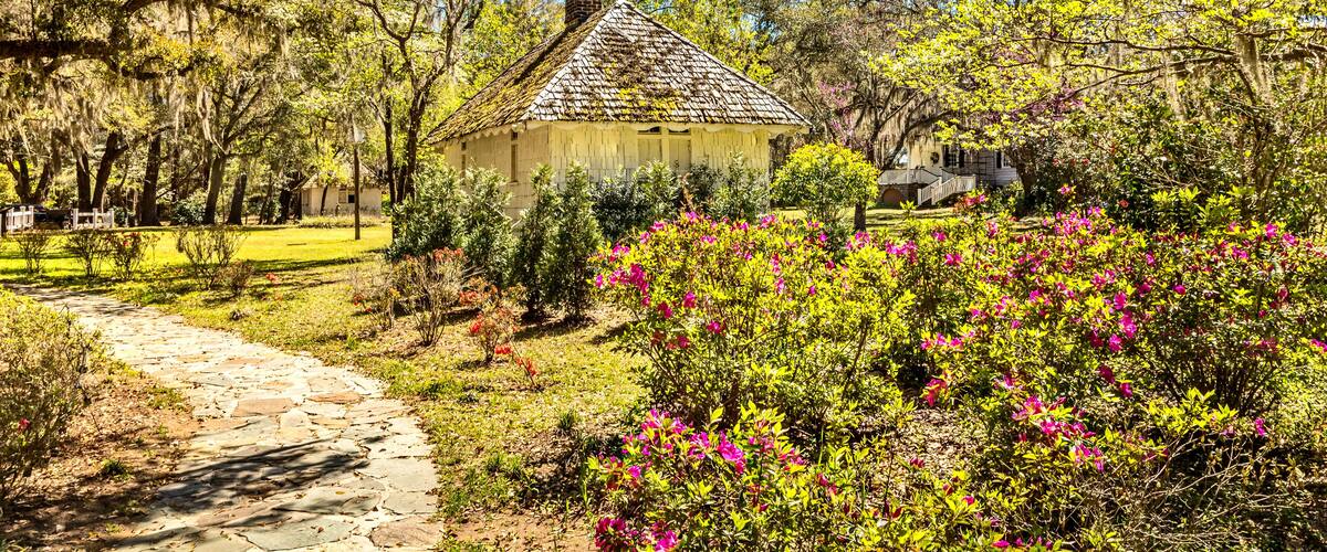 Southern landscape, South Carolina