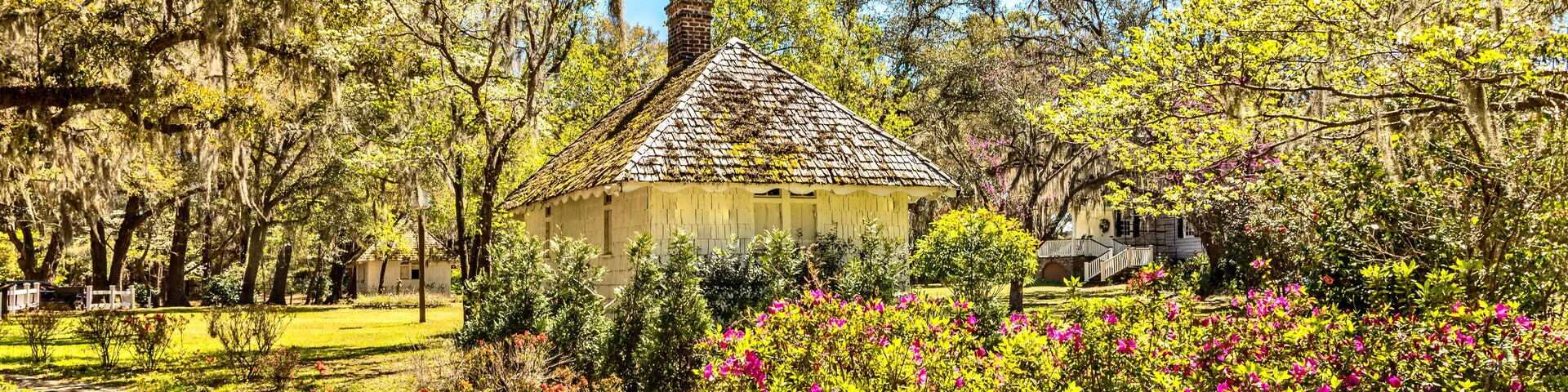 A rustic house surrounded by lush greenery and flowering bushes.
