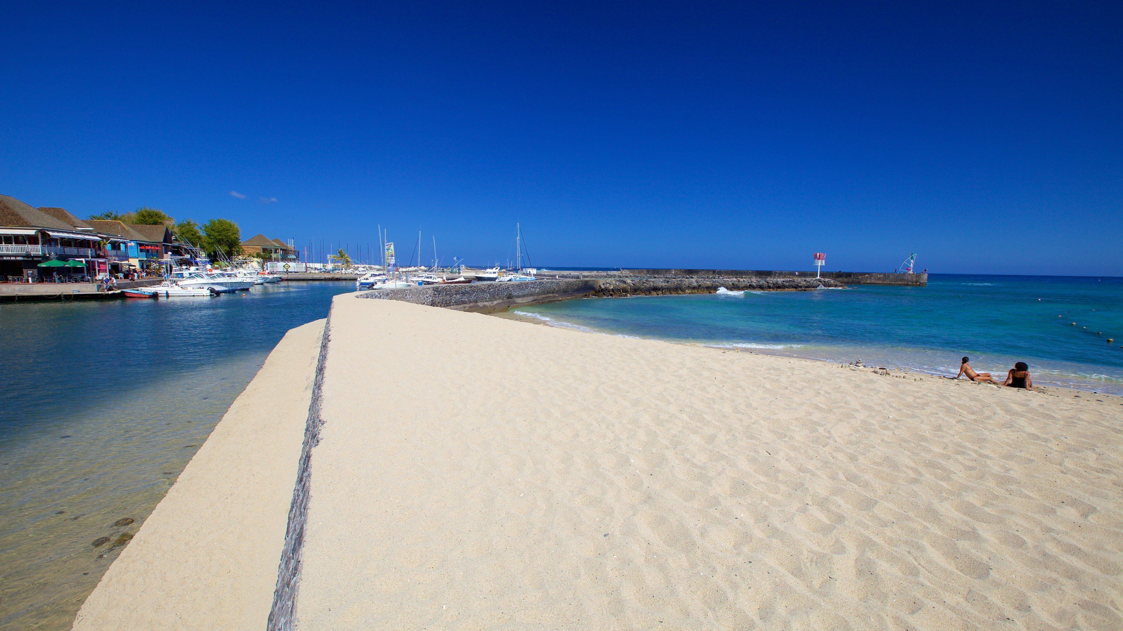 Saint-Gilles-les-Bains montrant plage et marina