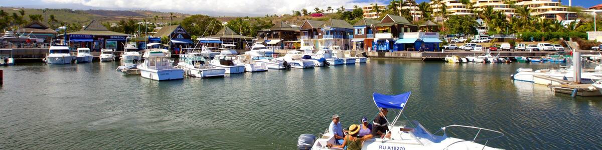 A marina with several boats docked, a clear blue sky, and buildings in the background.