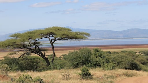 The beauty of this country is infinite.