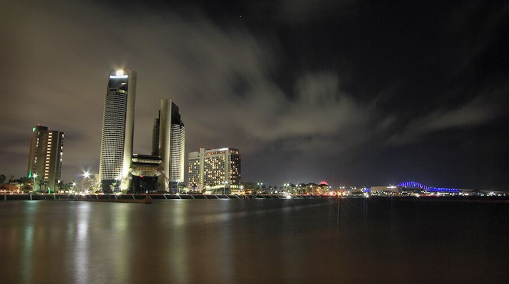 High winds equaled choppy water and fast moving clouds to frame downtown Corpus Christi. I decided to emphasize both using a slow shutter.
#cityscape #night #texas #beach #corpuschristi