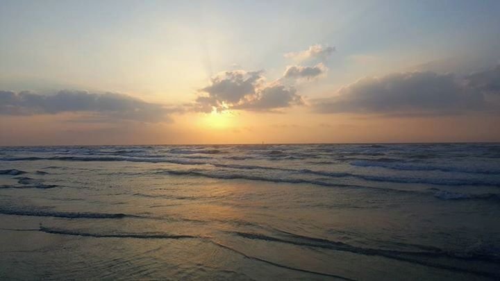 Saturday morning walks on Padre Island, shell hunting, watching the sunrise. #LifeAtExpedia