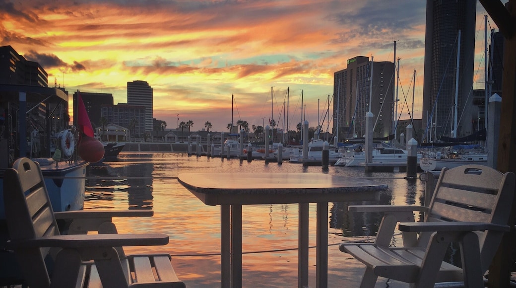 On a work-road trip to McAllen, Texas I had the opportunity to swing by Corpus Christi and grab dinner. No parading, no shopping planned, just a quick bite before seeing more freeway. I wasn't expecting to see very much.
Boy, was I surprised. We stopped for dinner just 4 miles off our route at Harrison's in Corpus Christi. We sat in the "floating" seating, a roped off dock with tables and chairs, and enjoyed some of the town's talented musicians singing homegrown versions of Sublime songs. The sun set with beautiful yellow and orange colored clouds reflected in the water and I was amazed no others were photographing this beautiful scene. Maybe indifferent, or maybe used to the beauty that is this town, and us the tourists making ourselves clearly known.
Thank you Corpus Christi for your beauty and your meal. I'm sorry our stay was rushed, we will definitely be back!