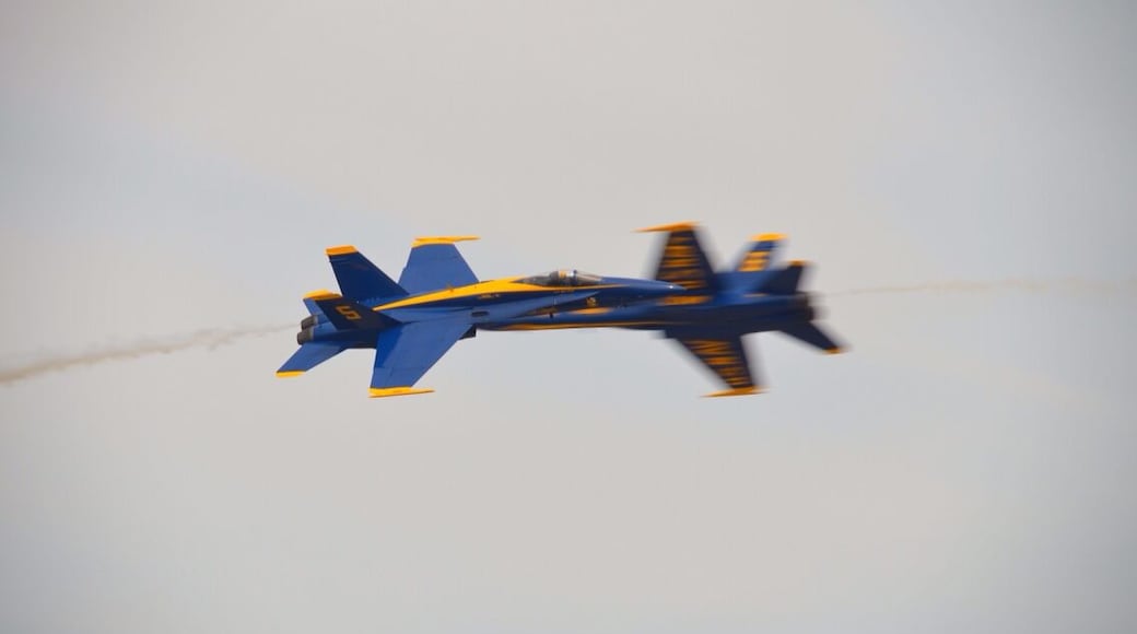 I love the smell of avgas in the morning!
Airshow time!! Last year, the US government cut back on defense department spending, which cut into airshow performances around the United States. This year, the US Navy Blue Angels and the US Air Force Thunderbirds have been given the all-clear to perform at various shows around the country.
This shot of two Blue Angels F-18 Hornets making a high speed and close pass was taken at the South Texas Airshow on March 29th, at Naval Air Station, Kingsville. You'll see great performances like this at a lot of airshows this year.
Check out Milavia.net for this years' airshow calendar for a show near you.
Take lots if sunscreen, a hat, drink plenty if water and, of course, a camera with a decent zoom. This shot was taken at 200mm.