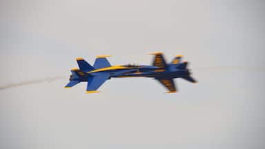 I love the smell of avgas in the morning!
Airshow time!! Last year, the US government cut back on defense department spending, which cut into airshow performances around the United States. This year, the US Navy Blue Angels and the US Air Force Thunderbirds have been given the all-clear to perform at various shows around the country.
This shot of two Blue Angels F-18 Hornets making a high speed and close pass was taken at the South Texas Airshow on March 29th, at Naval Air Station, Kingsville. You'll see great performances like this at a lot of airshows this year.
Check out Milavia.net for this years' airshow calendar for a show near you.
Take lots if sunscreen, a hat, drink plenty if water and, of course, a camera with a decent zoom. This shot was taken at 200mm.