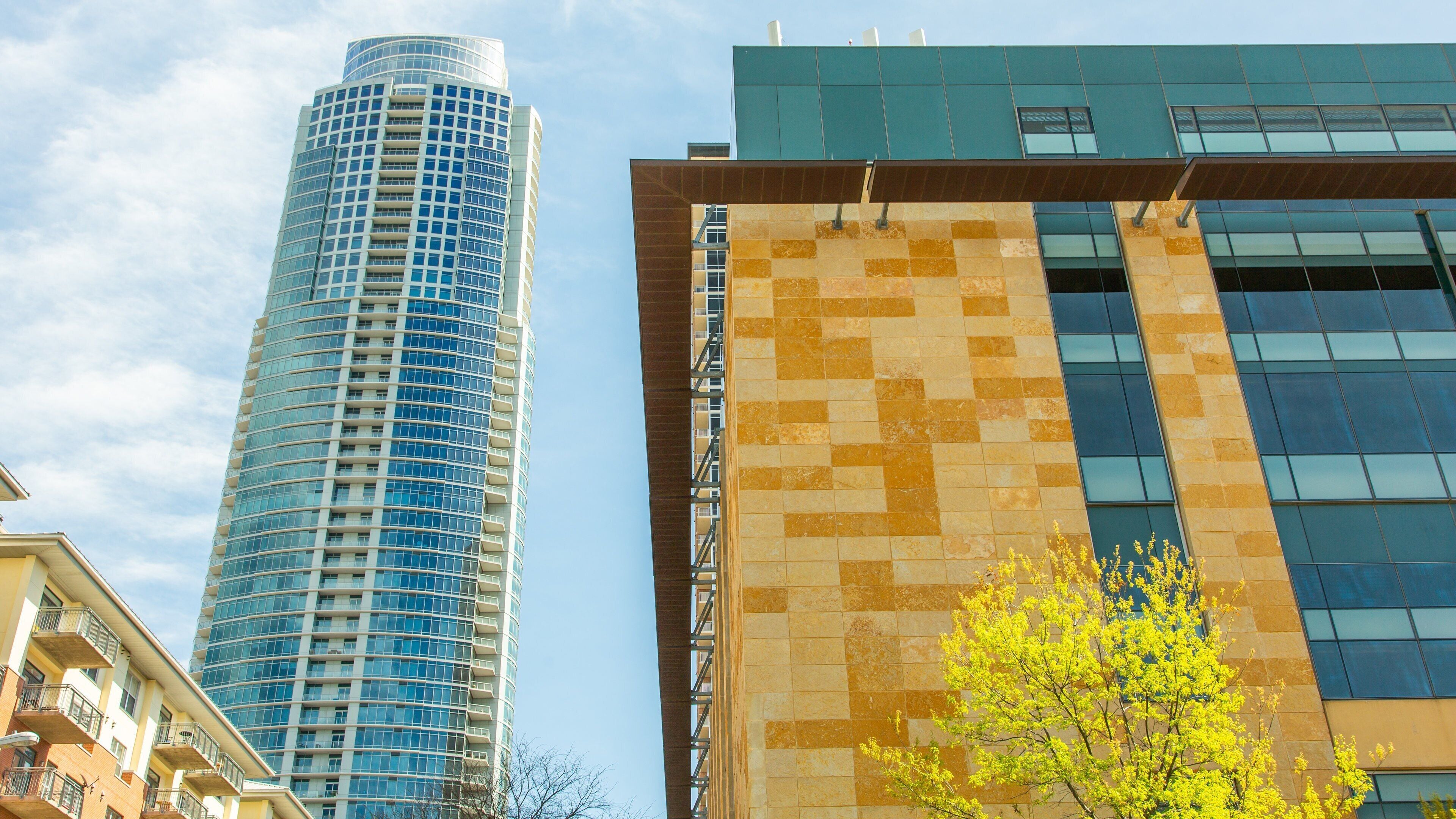 Hill Country showing a city and a high rise building