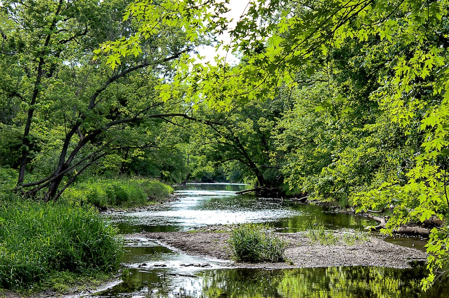 Creek in the park; Shutterstock ID 517129537
