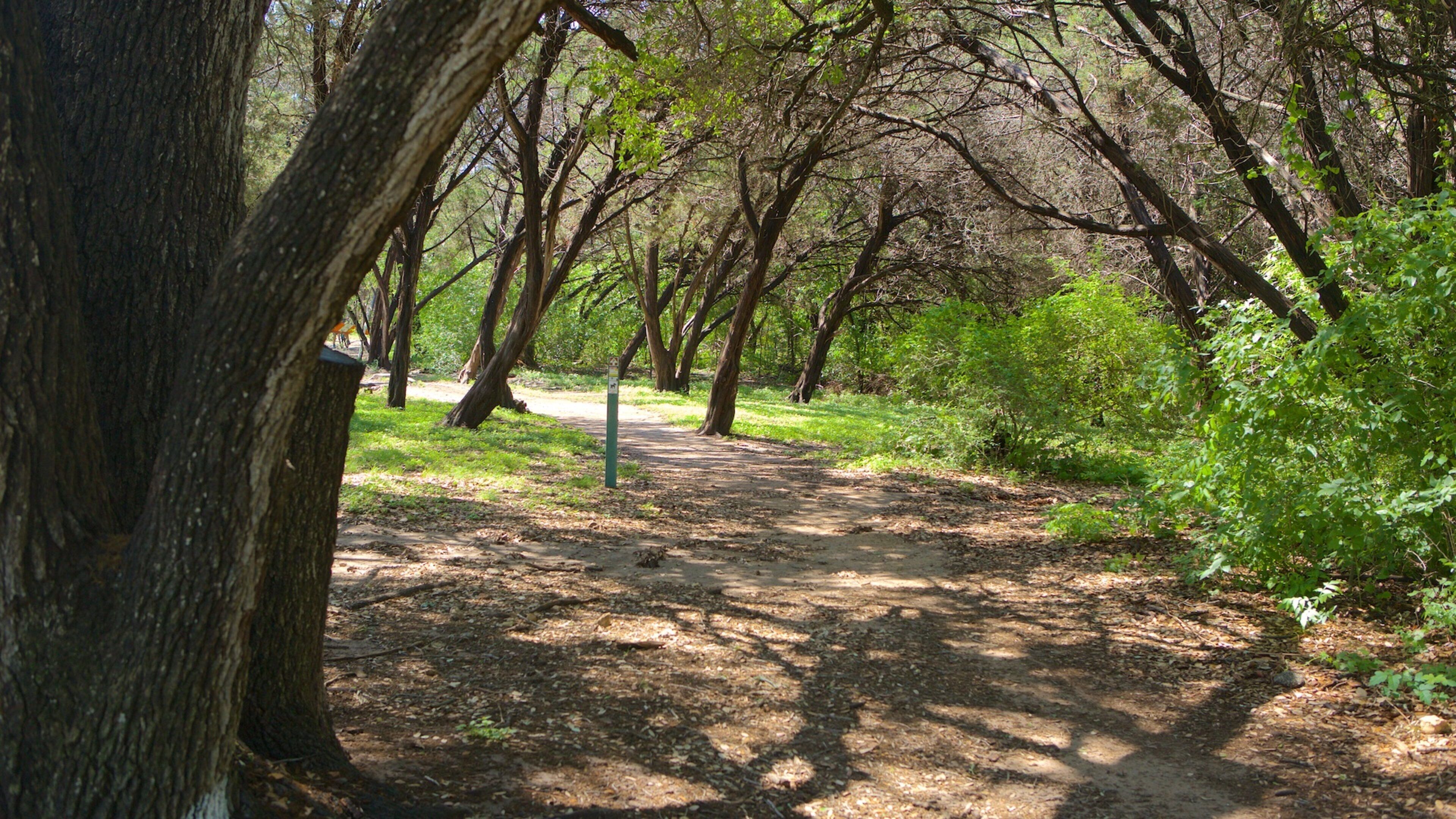 Nordlige sentrale Austin fasiliteter samt hage