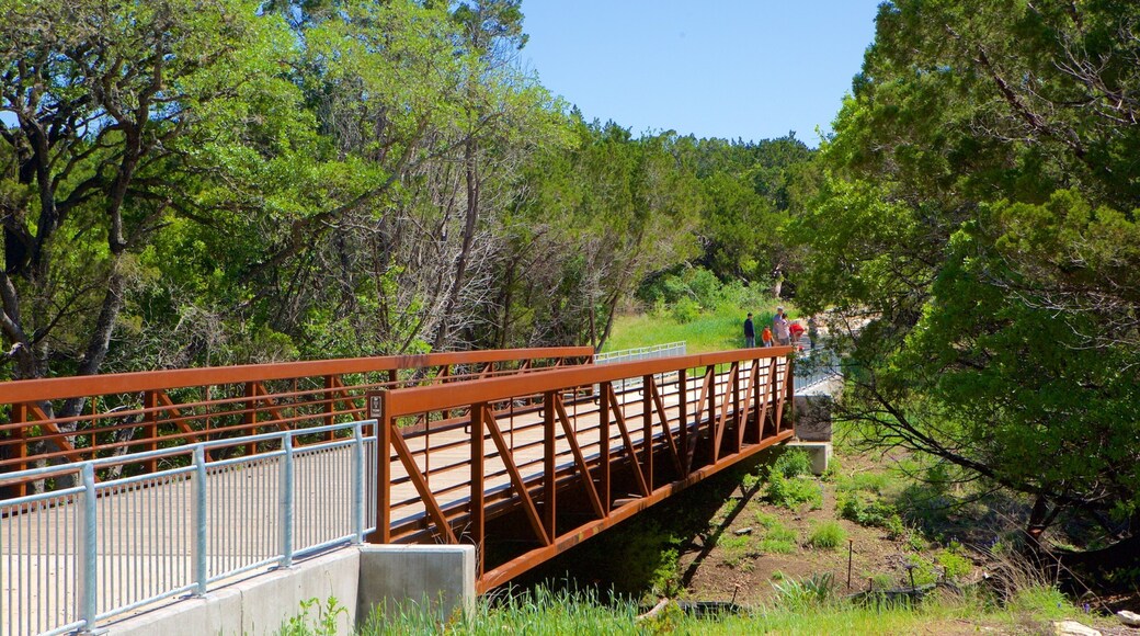 Nordlige sentrale Austin som viser skog og bro