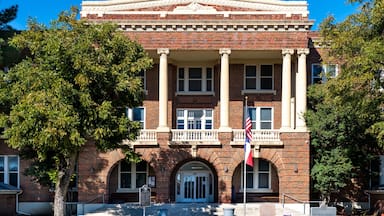 Brownwood, Texas, Brownwood County Courthouse, architecture, building, old, landmark, historic, square, travel, exterior