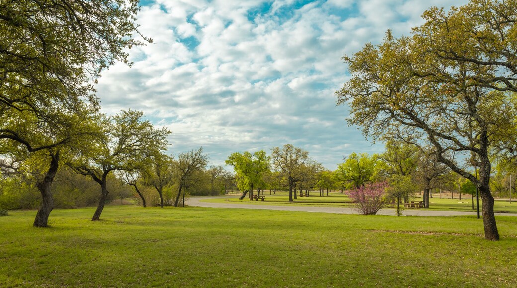 Brownwood