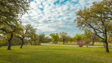 Lake state park, Brownwood Texas, nature landscape