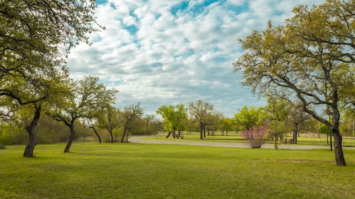 Brownwood
