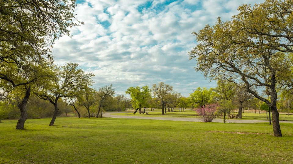 Lake state park, Brownwood Texas, nature landscape