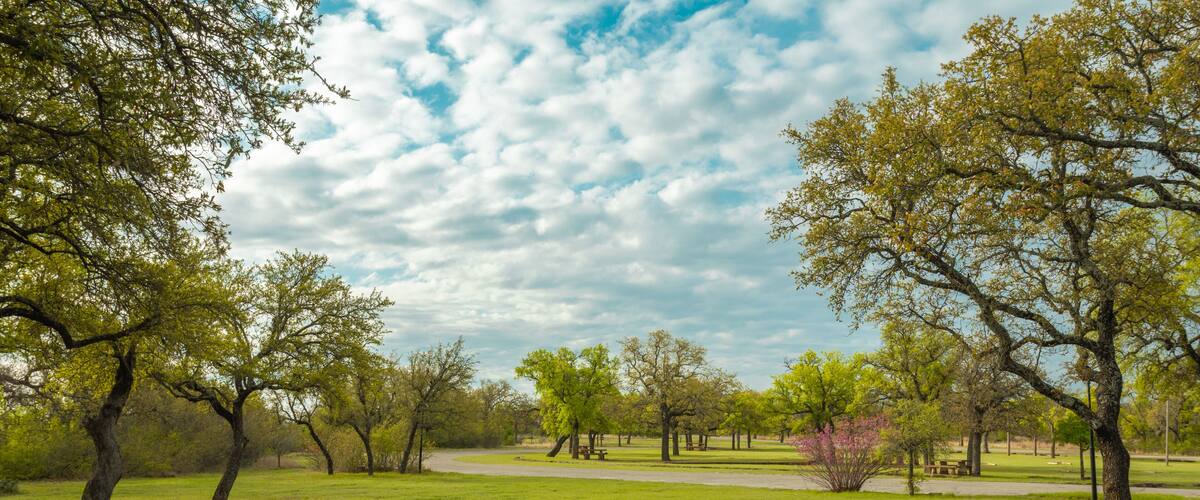 Lake state park, Brownwood Texas, nature landscape