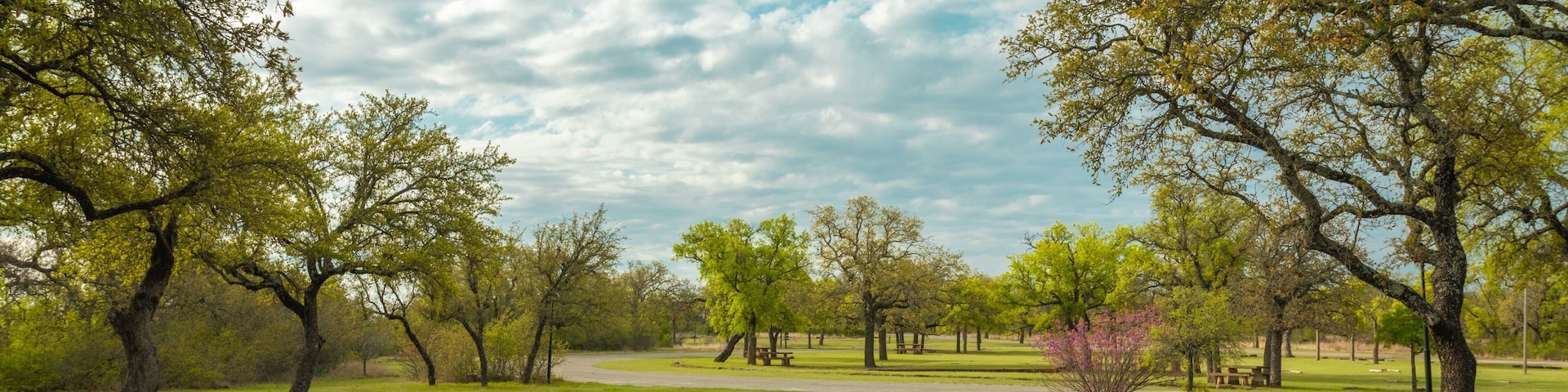 A park with green grass, trees, and a cloudy sky.