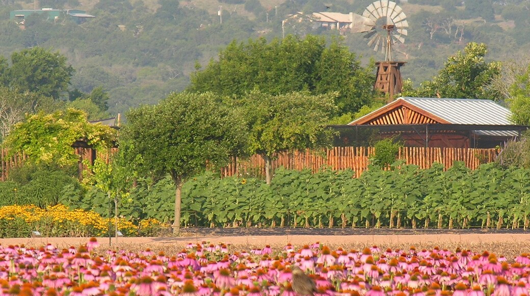 Fredericksburg which includes farmland, a park and wildflowers