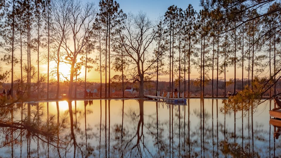 A serene lakeside scene with tall pine trees reflecting the sunset.