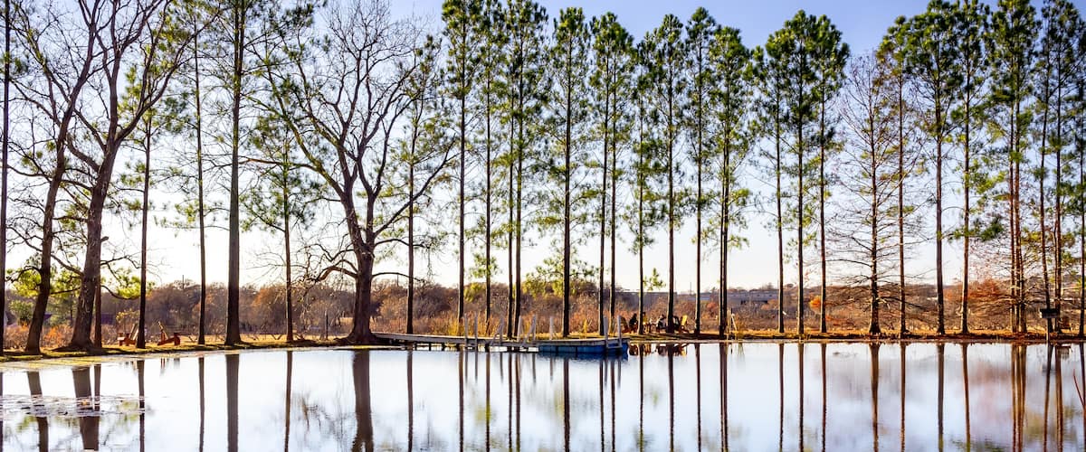 A calm lake with tall trees reflected in the water, surrounded by a forested area.