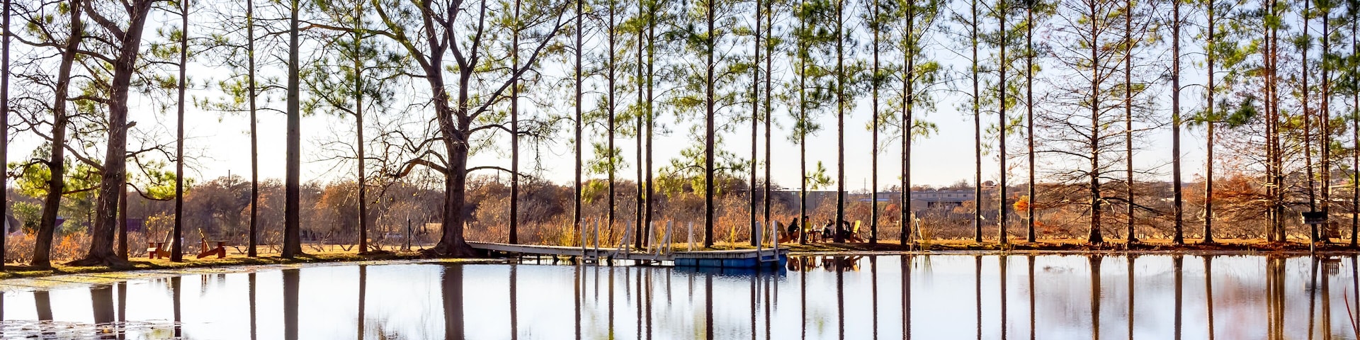A calm lake with tall trees reflected in the water, surrounded by a forested area.